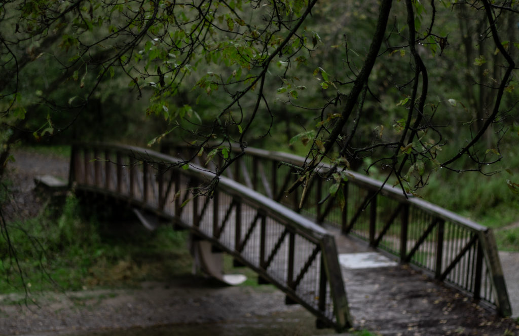 After the Rain