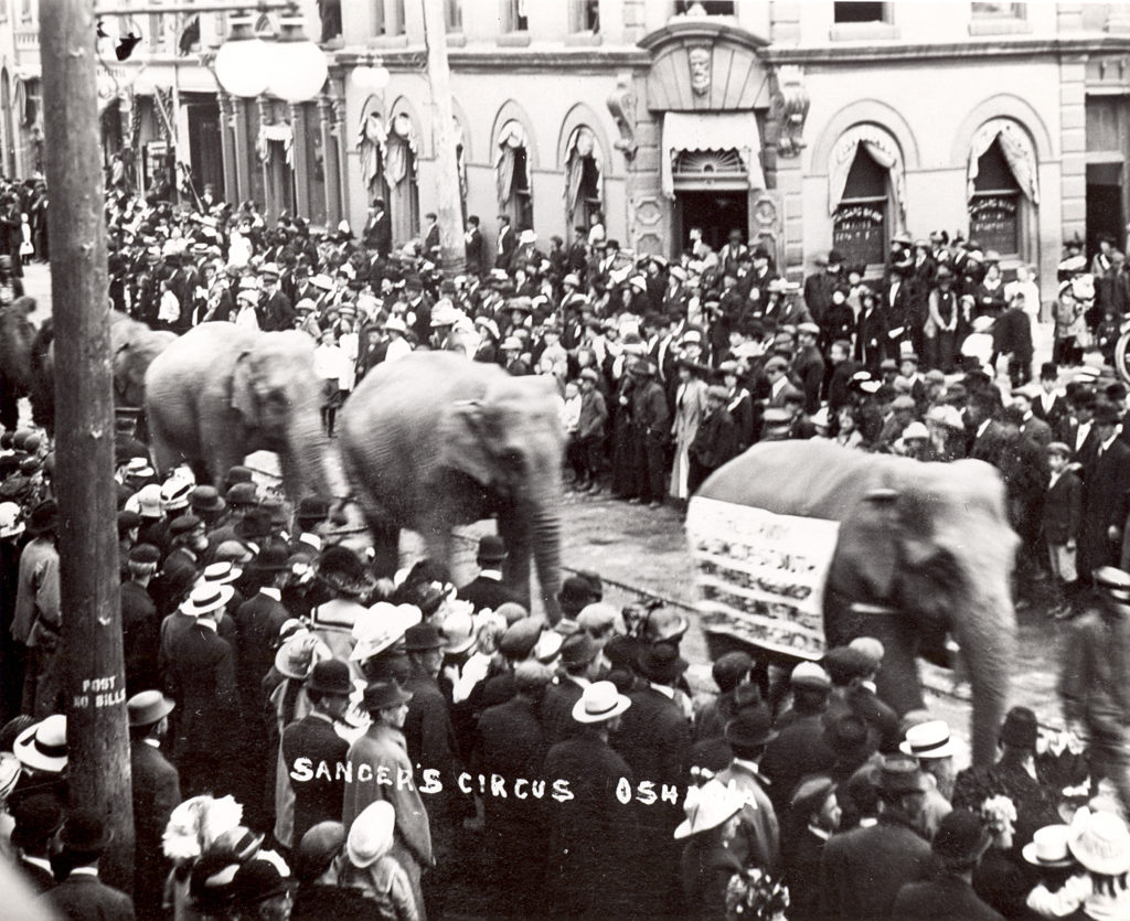 A black and white photograph of 4 elephants in a parade walking past a crowd of people standing on the street.
